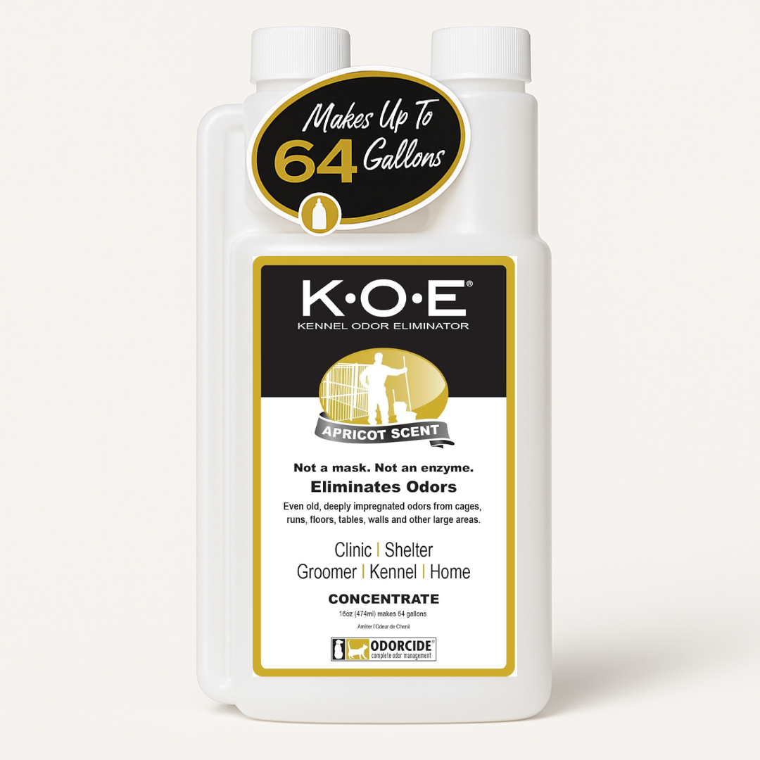 Pet Odor Eliminator -Pour